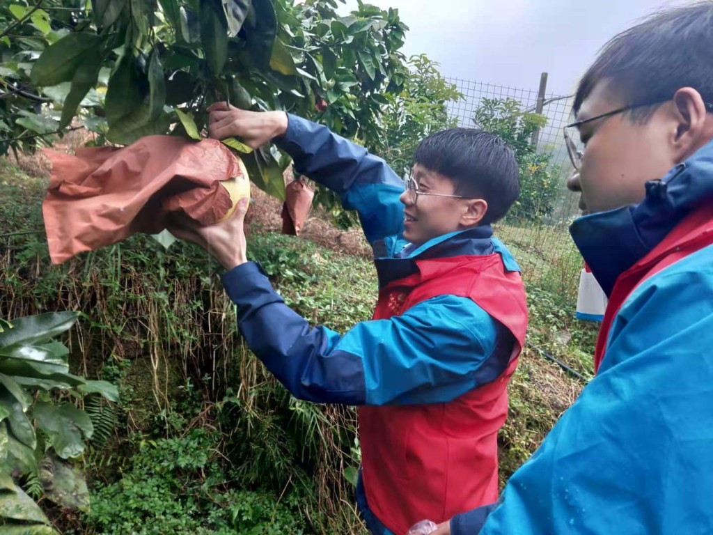 香港六宝典资料大全